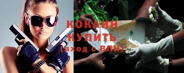 стаф Карпинск