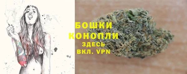 дмт Инсар