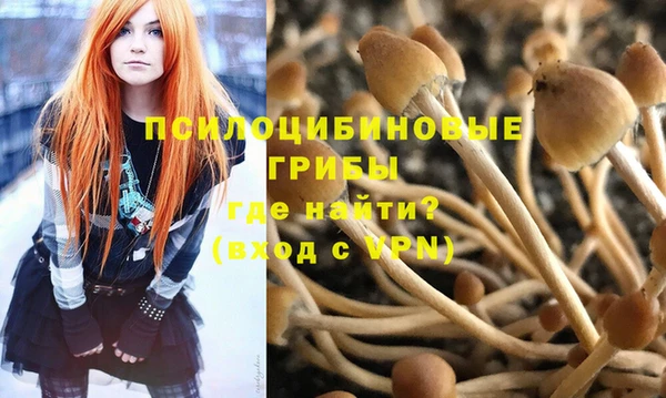 не бодяженный Каменск-Шахтинский