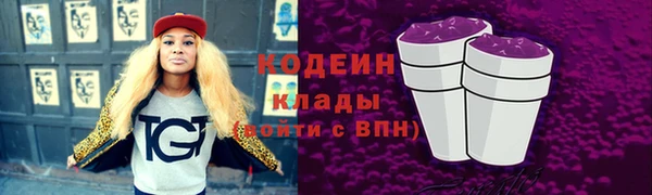 стаф Карпинск