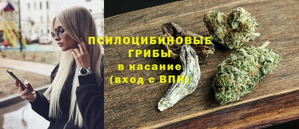 не бодяженный Каменск-Шахтинский
