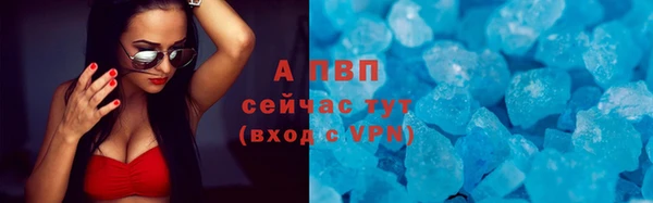 сатива Кинешма
