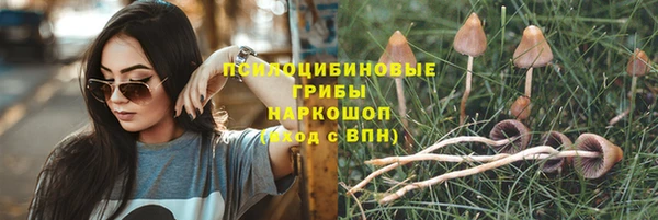 не бодяженный Каменск-Шахтинский