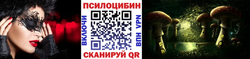 купить наркотик  Котельники  Галлюциногенные грибы Magic Shrooms 